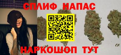 прущий лед Бийск