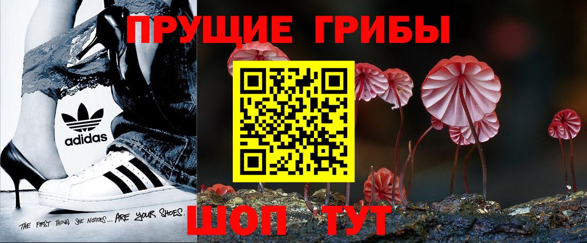 Псилоцибиновые грибы GOLDEN TEACHER Кизилюрт
