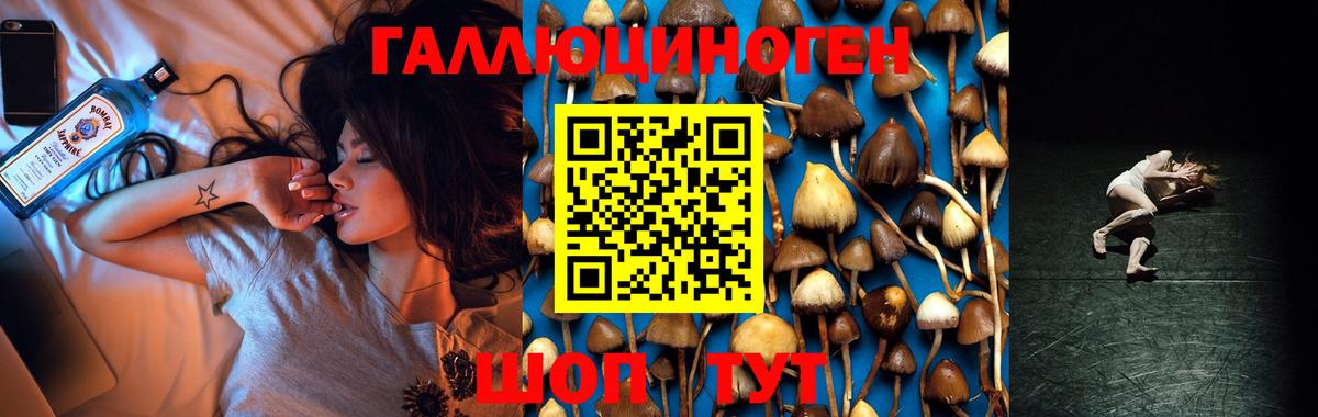 ГАШИШ Кизилюрт