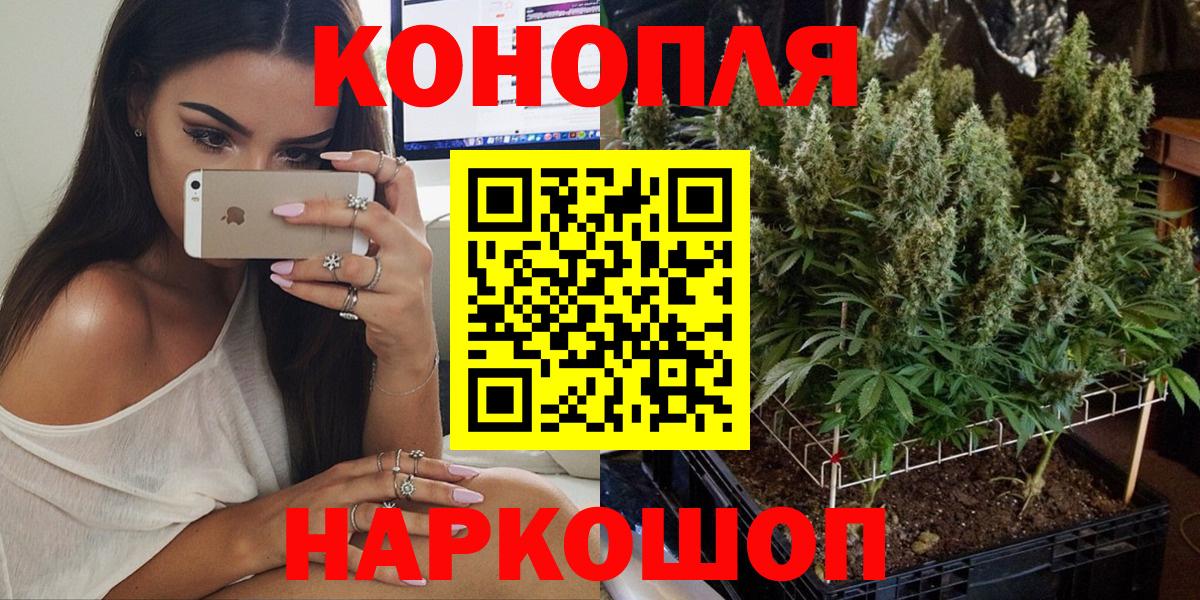 Бошки Шишки SATIVA & INDICA  Конопля Bruce Banner  Кизилюрт  Вход с VPN 